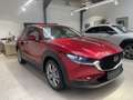 Mazda CX-30 2.0L e-SKYACTIV G, Bose, 360 Grad, Navigat Rot - thumbnail 3