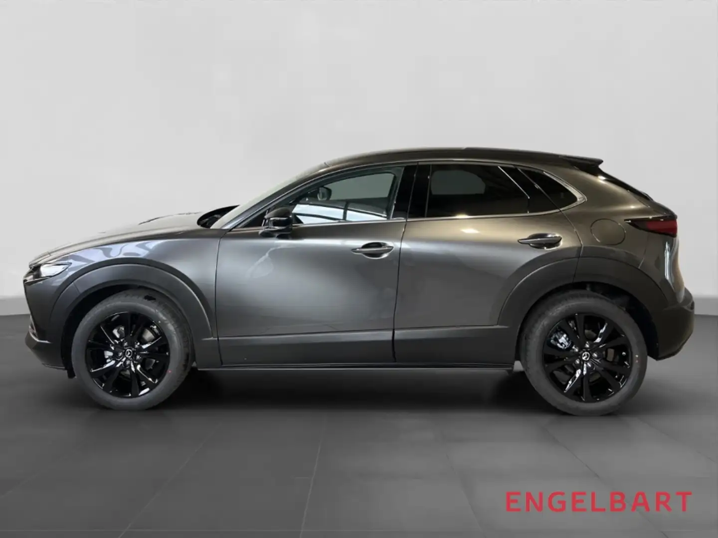 Mazda CX-30 Nagisa 2WD 2.0 SKYACTIV-X-M Hybrid EU6e HUD Navi L Gris - 2