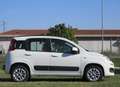 Fiat Panda 1.2 Lounge s&s 69cv Bianco - thumbnail 4