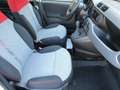 Fiat Panda 1.2 Lounge s&s 69cv Bianco - thumbnail 11
