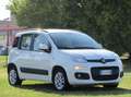 Fiat Panda 1.2 Lounge s&s 69cv Bianco - thumbnail 2