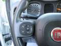 Fiat Panda 1.2 Lounge s&s 69cv Bianco - thumbnail 14