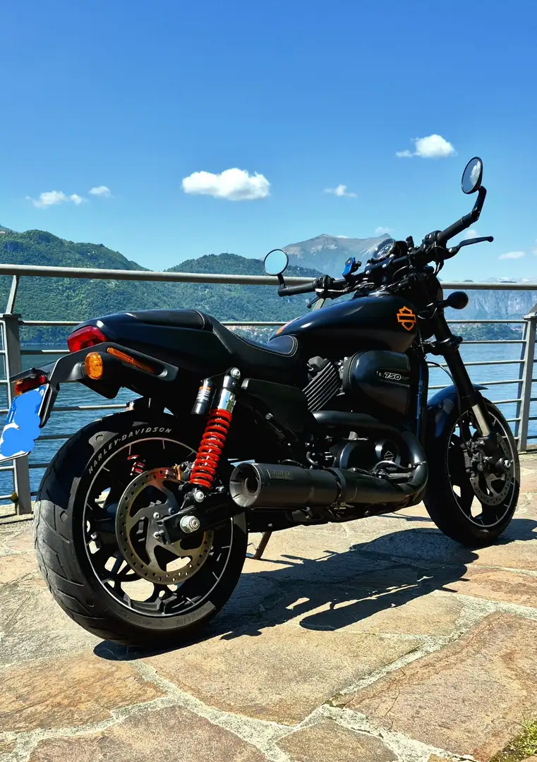 Harley-Davidson Street Rod Black - 2