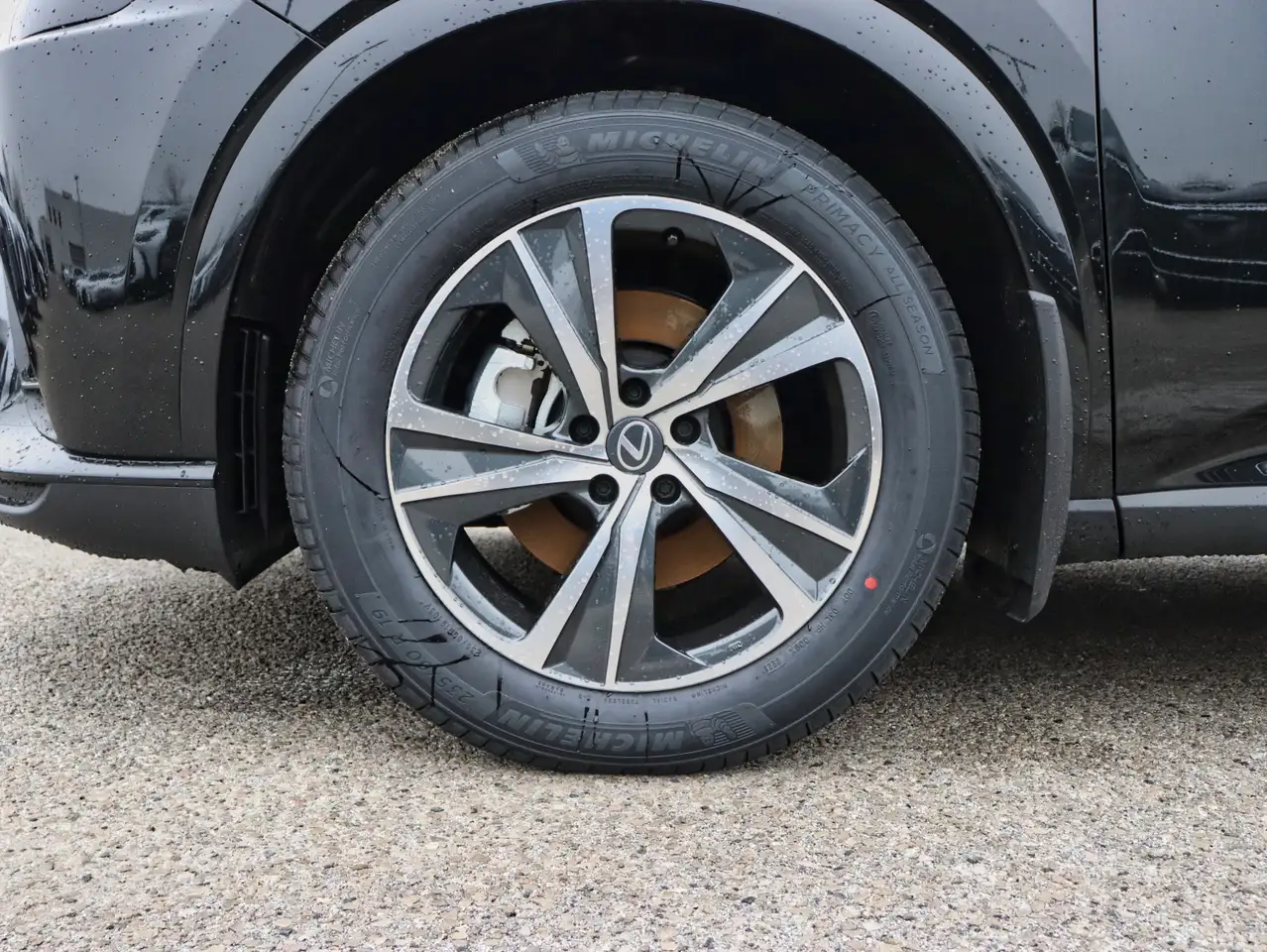 Lexus RX снимка Lexus RX