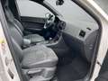 CUPRA Ateca 2.0 TSI 4Drive DSG VZ *ACC*LED*Navi* Weiß - thumbnail 13