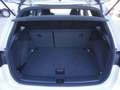 SEAT Arona Arona 1.0 EcoTSI 115 CV DSG XCELLENCE Bianco - thumbnail 6