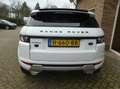 Land Rover Range Rover Evoque 2.2 TD4 4WD Prestige Automaat / Leder / Panoramada Білий - thumbnail 9