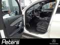 Mercedes-Benz GLC 350 GLC 350 d AMG Line 4Matic Comand/Burmester/Sthzg Weiß - thumbnail 3