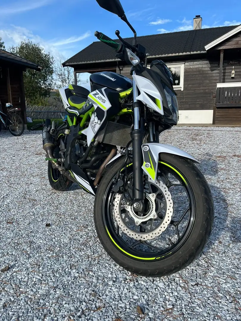 Kawasaki Z 125 Groen - 1