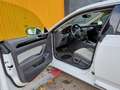 Volkswagen Arteon 2.0TDI DSG7 110kW Bianco - thumbnail 12