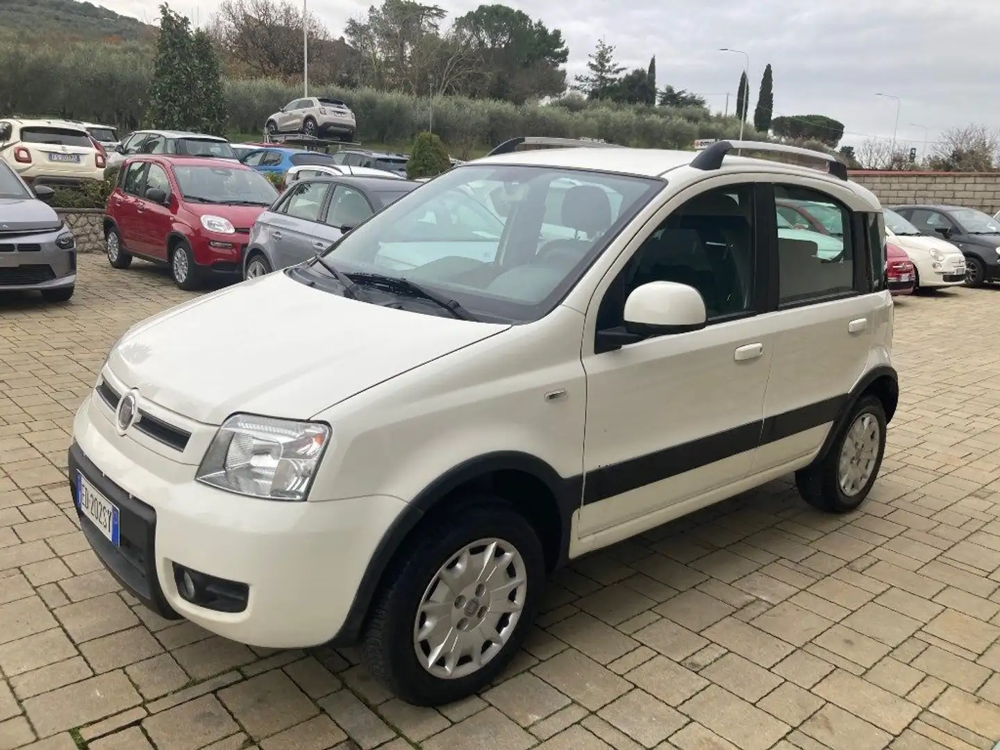 Fiat Panda 1.2 4x4 Climbing Metano con gancio Bianco - 2