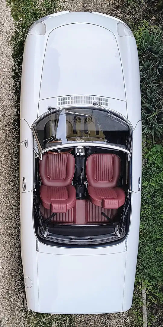 Alfa Romeo 2000 Spider Veloce Weiß - 1