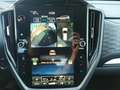 Subaru Forester 2.0ie ACTIVE e-Boxer 360 Kamera LED Kurvenlicht Sp Grau - thumbnail 23
