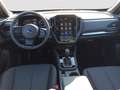 Subaru Forester 2.0ie ACTIVE e-Boxer 360 Kamera LED Kurvenlicht Sp Grau - thumbnail 10
