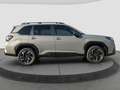 Subaru Forester 2.0ie ACTIVE e-Boxer 360 Kamera LED Kurvenlicht Sp Grau - thumbnail 6