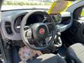 Fiat Panda 1.0 firefly hybrid s&s 70cv Noir - thumbnail 4