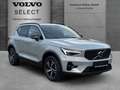 Volvo XC40 B3 Plus Dark 2WD !!PANO+ACC+BLIS+FSH!! Grau - thumbnail 1