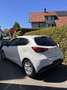 Mazda 2 G75 Challenge - thumbnail 5