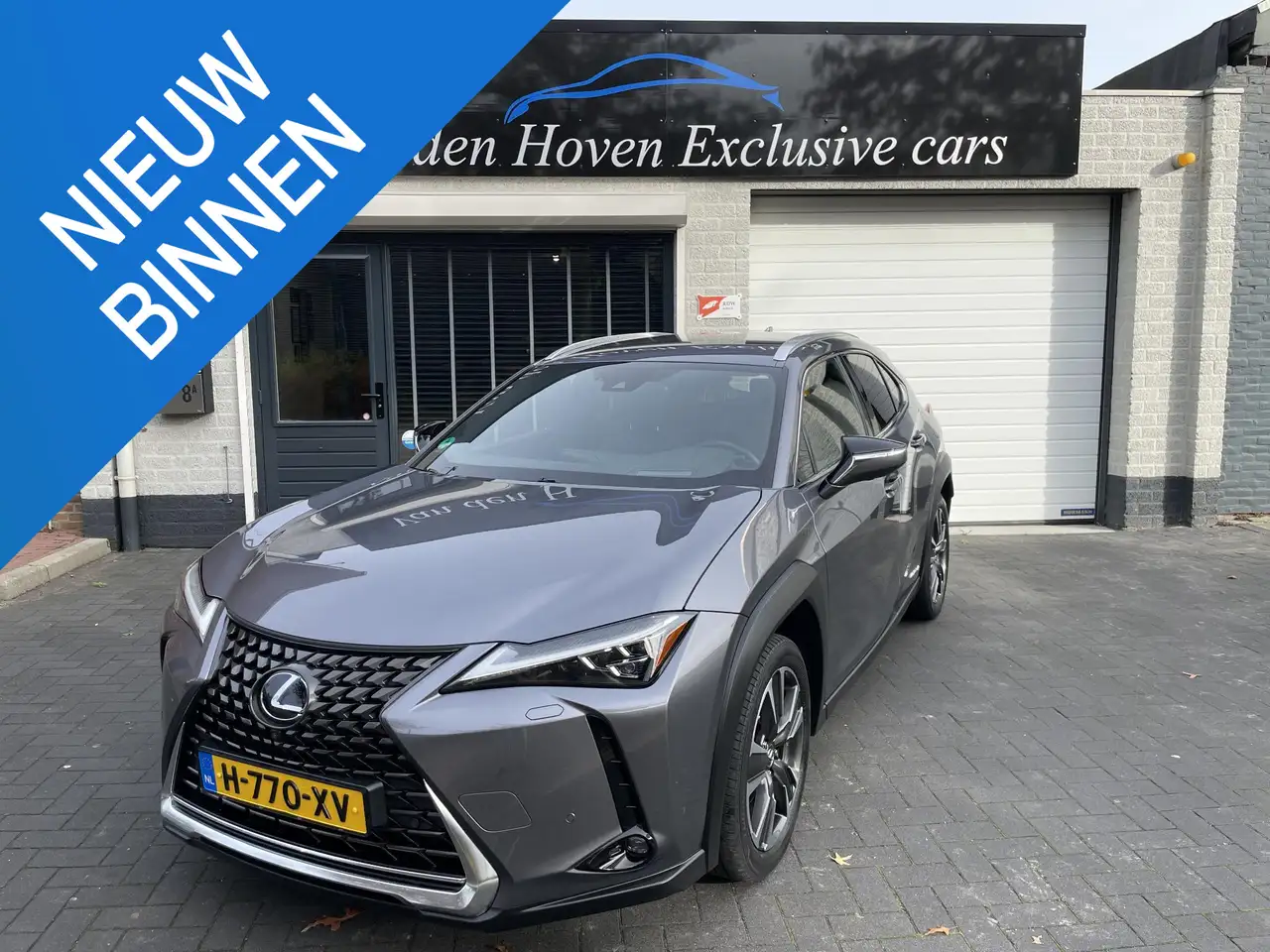 Lexus UX 250h
