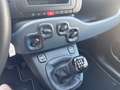 Fiat Panda Panda 1.0 FireFly S&S Hybrid Rosso - thumbnail 13
