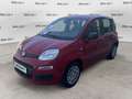 Fiat Panda Panda 1.0 FireFly S&S Hybrid Rosso - thumbnail 3