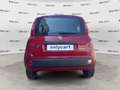 Fiat Panda Panda 1.0 FireFly S&S Hybrid Rosso - thumbnail 4