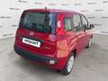 Fiat Panda Panda 1.0 FireFly S&S Hybrid Rosso - thumbnail 6