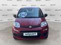 Fiat Panda Panda 1.0 FireFly S&S Hybrid Rosso - thumbnail 2