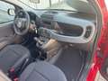 Fiat Panda Panda 1.0 FireFly S&S Hybrid Rosso - thumbnail 11