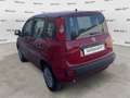 Fiat Panda Panda 1.0 FireFly S&S Hybrid Rosso - thumbnail 5