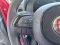 Fiat Panda Panda 1.0 FireFly S&S Hybrid Rosso - thumbnail 12