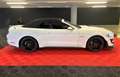 Ford Mustang Cabrio GT 5,0 Ltr. V8 450PS Shelby-Ki... Wit - thumbnail 19