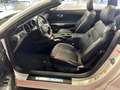 Ford Mustang Cabrio GT 5,0 Ltr. V8 450PS Shelby-Kit*10-Gang-... Bílá - thumbnail 18