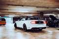 Ford Mustang Cabrio GT 5,0 Ltr. V8 450PS Shelby-Kit*10-Gang-... Blanc - thumbnail 3