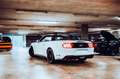 Ford Mustang Cabrio GT 5,0 Ltr. V8 450PS Shelby-Ki... Wit - thumbnail 3