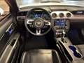 Ford Mustang Cabrio GT 5,0 Ltr. V8 450PS Shelby-Ki... Wit - thumbnail 17