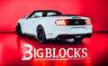 Ford Mustang Cabrio GT 5,0 Ltr. V8 450PS Shelby-Ki... Wit - thumbnail 2