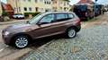 BMW X3 xDrive 28 i/AHK-Panorama-Standheizung Braun - thumbnail 13
