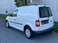 Volkswagen Caddy 1.6 TDI Kasten *Nur an Gewerbetreibende* Weiß - thumbnail 3