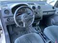 Volkswagen Caddy 1.6 TDI Kasten *Nur an Gewerbetreibende* Weiß - thumbnail 7