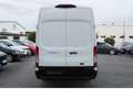 Ford Transit 2.0 TDCi 350 L4 Trend Express NAV*SH*360 Weiß - thumbnail 6