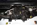 Ford Transit 2.0 TDCi 350 L4 Trend Express NAV*SH*360 Weiß - thumbnail 14