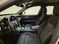 Alfa Romeo Stelvio 2.2 Tdi Business 160cv auto N1 - PER COMMERCIANTI Blanc - thumbnail 8