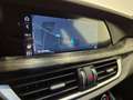 Alfa Romeo Stelvio 2.2 Tdi Business 160cv auto N1 - PER COMMERCIANTI Blanc - thumbnail 21