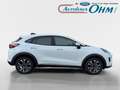 Ford Puma Titanium 1.0 EcoBoost Mild Hybrid - RFK - Navi - Weiß - thumbnail 8