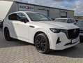 Mazda CX-60 HOMURA AWD MATRIX*BOSE*LEDER*HUD*ACC*360° Weiß - thumbnail 1