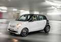 smart forFour II 2015 1.0 Passion 71cv Bianco - thumbnail 4