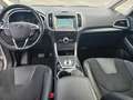 Ford S-Max S-Max 2.0 ecoblue Vignale s Grigio - thumbnail 10