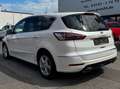 Ford S-Max S-MAX Vignale | NEUER MOTOR bei 170.000KM Weiß - thumbnail 6