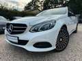 Mercedes-Benz E 220 BlueTEC 4MATIC Pano*360Kam*Tempo*Navi Blanc - thumbnail 1